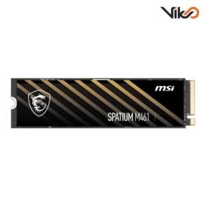اس اس دی اینترنال ام اس آی مدل SPATIUM M461 M.2