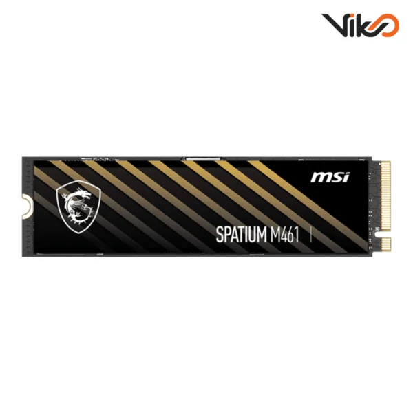 اس اس دی اینترنال ام اس آی مدل SPATIUM M461 M.2
