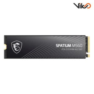 اس اس دی اینترنال ام اس آی مدل SPATIUM M560 M.2