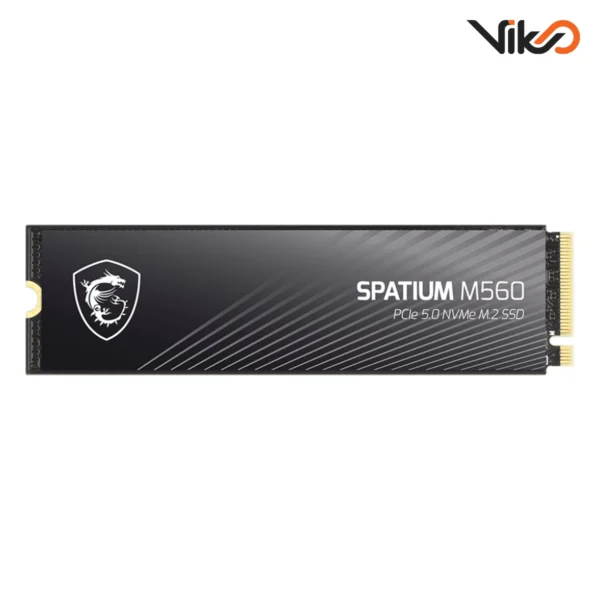 اس اس دی اینترنال ام اس آی مدل SPATIUM M560 M.2